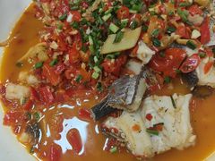 -全乐鱼馆·淳牌有机鱼直营店