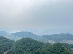 -大金鹰园