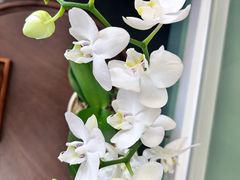 -南堂馆·新川菜(春熙路店)