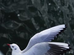 -海埂大坝