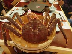 帝王蟹-蟹田居·活蟹料理(东城店)