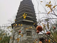 -万松老人塔