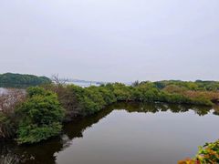 -厦门园林博览苑