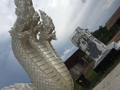 -美茵寺