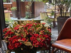 -Tivano意大利餐厅(成都居舍酒店)