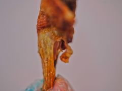 -大益烤鸡