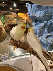 -Zoolung Zoolung动物主题公园(海信广场店)