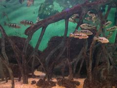 -常州海昌海洋探索馆