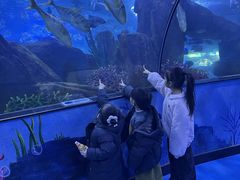 -蓬莱欧乐堡海洋极地世界
