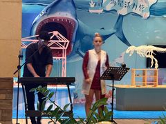 -三亚海棠湾喜来登度假酒店大堂吧