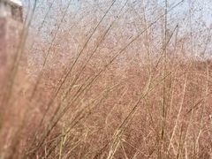 -院士公园