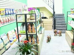 宠物用品区-范小萌宠物店(阳光新城竹苑店)