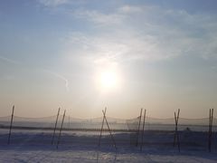 -呼兰河口湿地公园