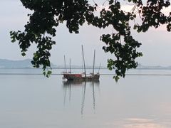 -贡湖湾湿地公园