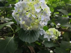 -穹窿山景区