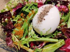 蛋蛋沙拉-隐泉之语日式料理(王府中环店)