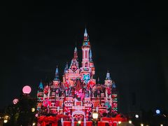 -上海迪士尼度假区