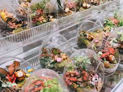 -KKV(深圳宏发大仟里店)