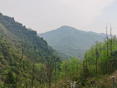 -龙窝子