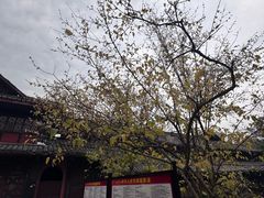 -峨眉山报国寺
