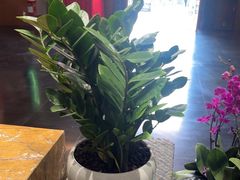 -黔蘑菇四季餐厅(观山湖店)