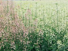 -中国天府农业博览园