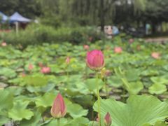 -南北湖风景区