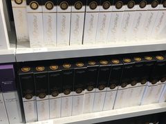 -蒙特利尔皮埃尔·埃利奥特·特鲁多国际机场