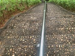 -神光山国家森林公园