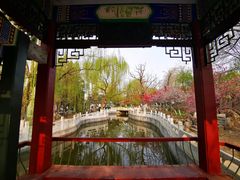-桃花堤公园