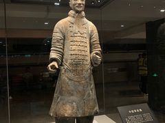 -秦始皇帝陵博物院(兵马俑)