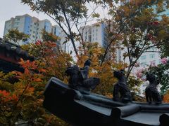 -真庆观