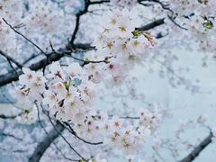 -龙美术馆(西岸馆)
