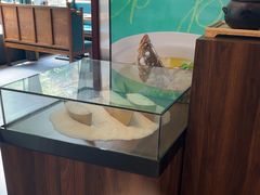 -饭怕鱼(阳光100店)