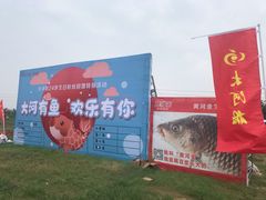 -阿五黄河大鲤鱼(英协路店)