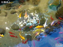 -泉乐坊步行街(烟酒特产平价超市店)