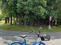 -东湖听涛景区
