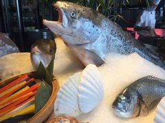 -广州富力君悦大酒店·凯菲厅