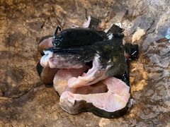 -众品蒸汽石锅坊