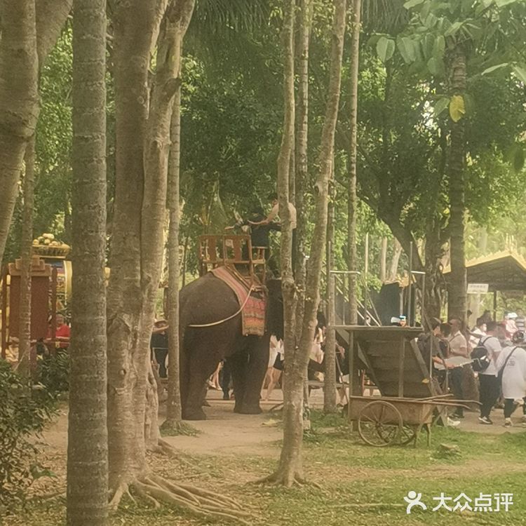西双版纳傣族园