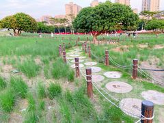 -红花山公园
