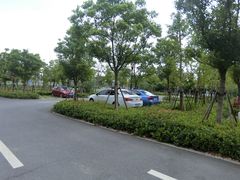 -上海浦江郊野公园·1号停车场
