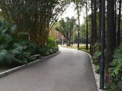 -晓港公园