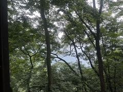 -青城山