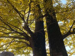 -径山寺