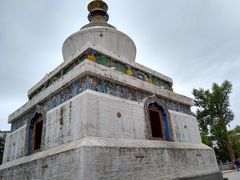 -塔尔寺菩提树