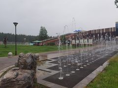 -黄海国家森林公园