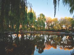 -玲珑塔公园
