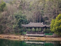 -杭州半山国家森林公园-龙山公园