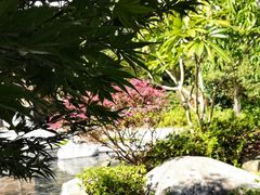 -和顺柏联温泉